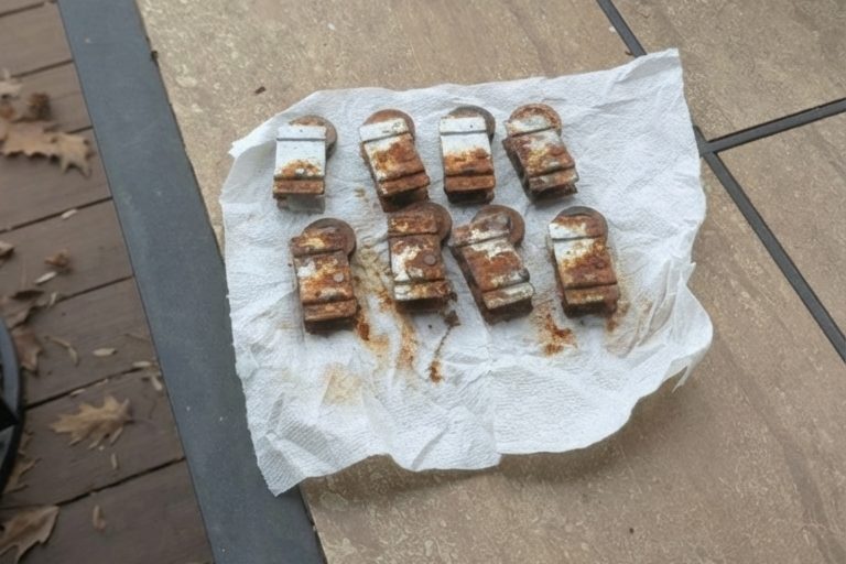 Eight rusted sliding door rollers laid out on a paper towel after being removed from a set of patio doors